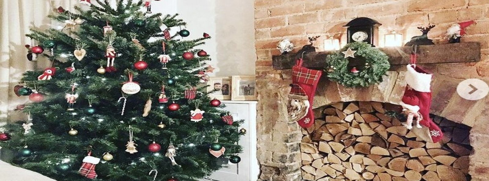 Where to buy or rent your real Christmas trees in Gloucestershire