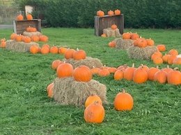 What's on in Worcestershire this October half term