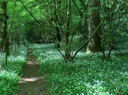 Our Spring walk recommendations around Gloucestershire
